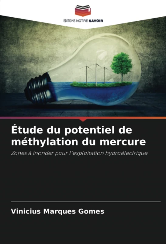 Étude du potentiel de méthylation du mercure: Zones à inonder pour l'exploitation hydroélectrique - Image 1