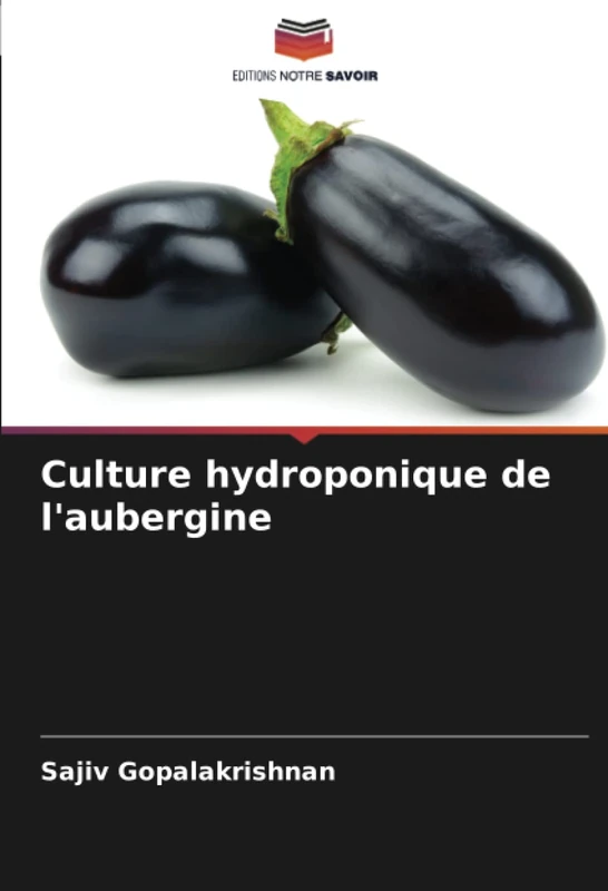 Culture hydroponique de l'aubergine