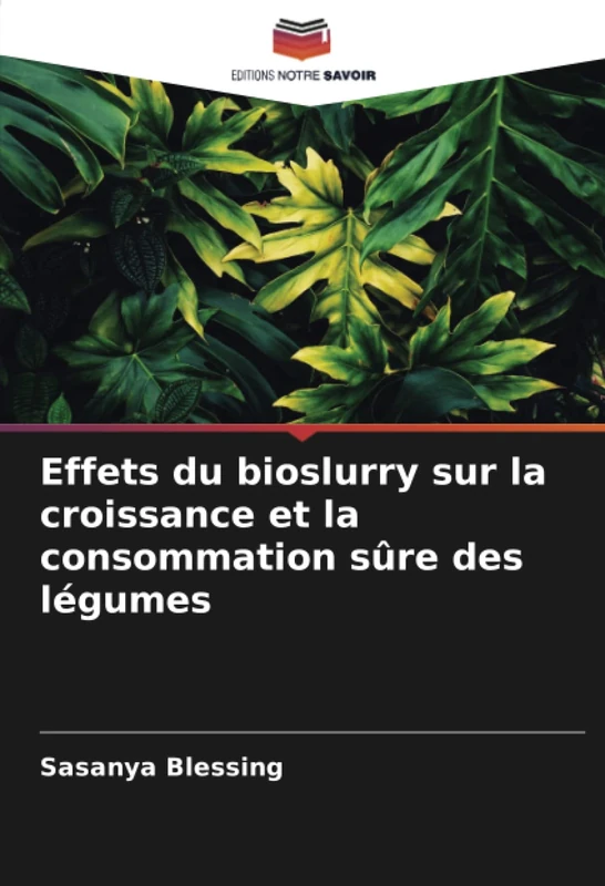 Effets du bioslurry sur la croissance et la consommation sûre des légumes - Image 1