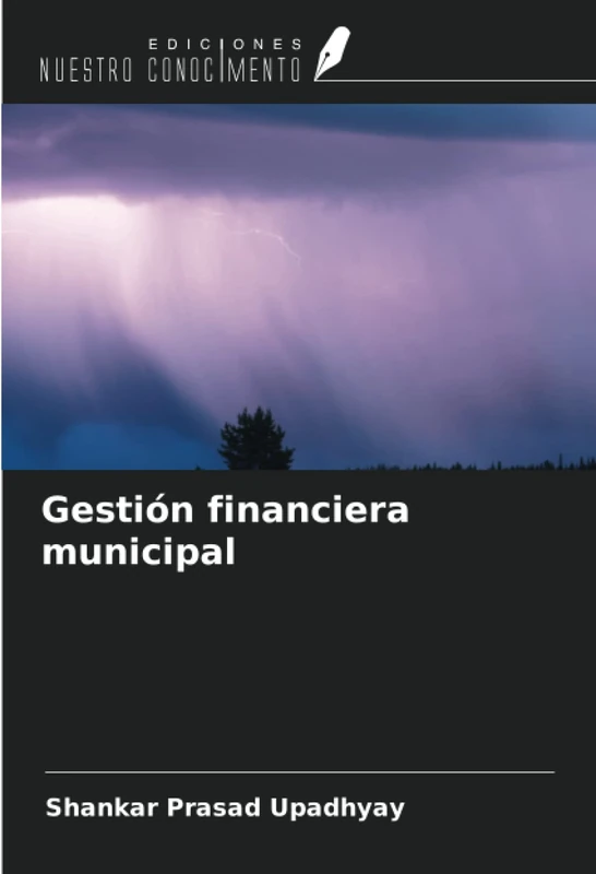 Gestión financiera municipal - Image 1