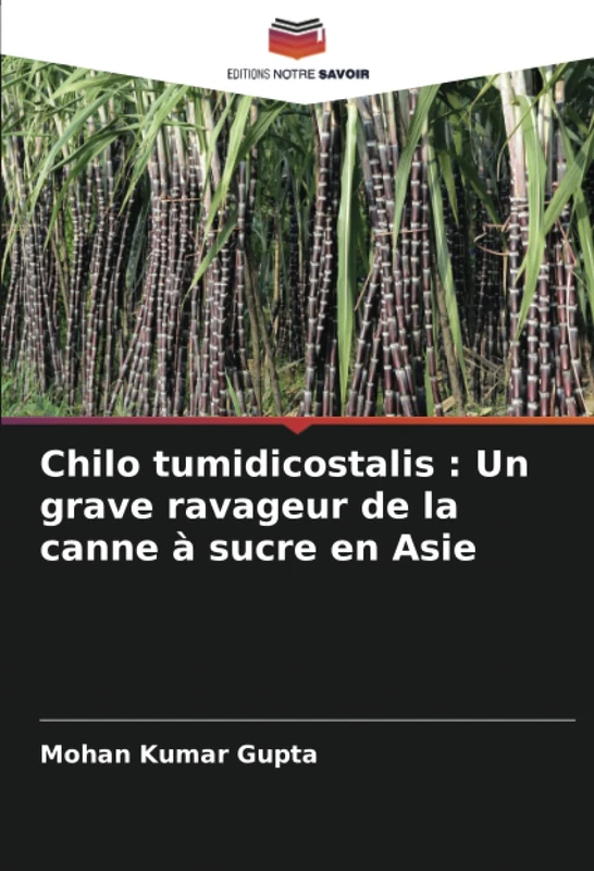 Chilo tumidicostalis : Un grave ravageur de la canne à sucre en Asie