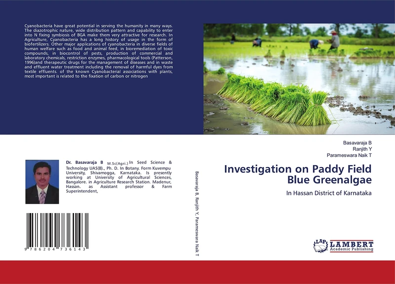 Investigation on Paddy Field Blue Greenalgae: In Hassan District of Karnataka