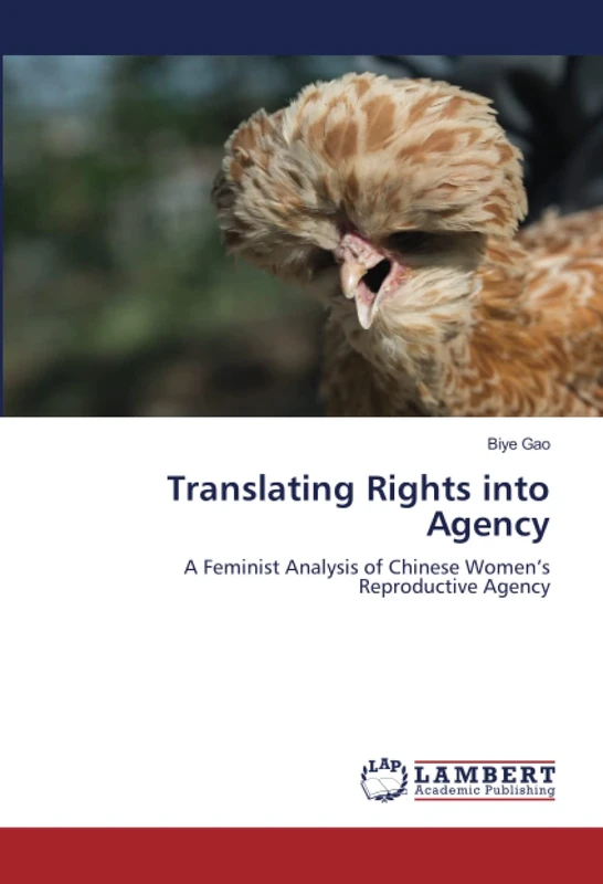 Translating Rights into Agency: A Feminist Analysis of Chinese Women’s Reproductive Agency - Image 1