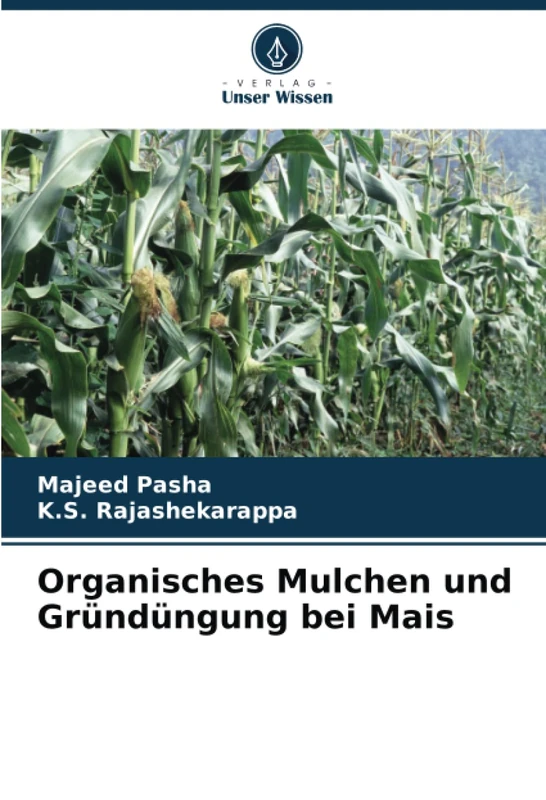 Organisches Mulchen und Gründüngung bei Mais - Image 1