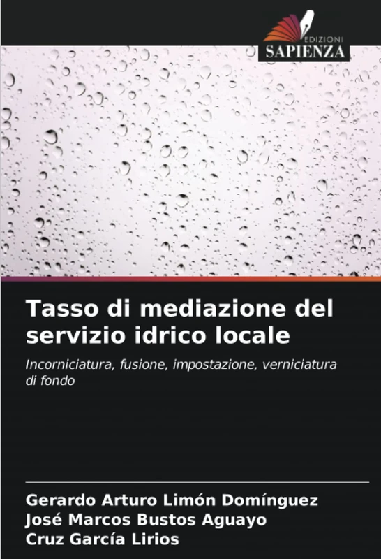 Tasso di mediazione del servizio idrico locale: Incorniciatura, fusione, impostazione, verniciatura di fondo