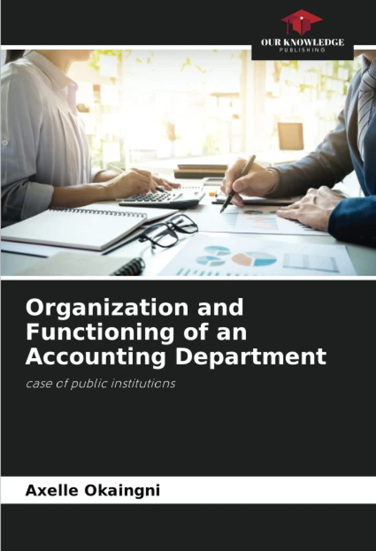 Organization and Functioning of an Accounting Department: case of public institutions - Image 1