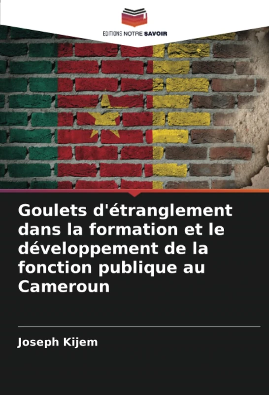 Goulets d'étranglement dans la formation et le développement de la fonction publique au Cameroun - Image 1