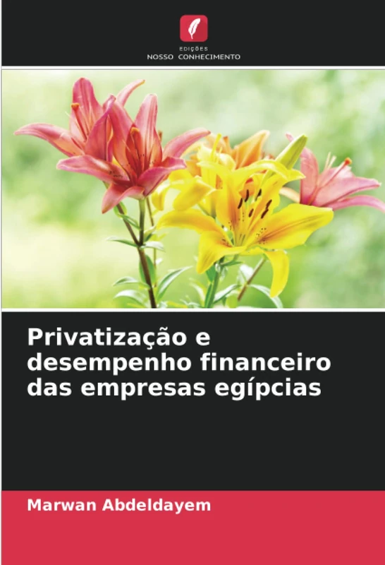 Privatização e desempenho financeiro das empresas egípcias