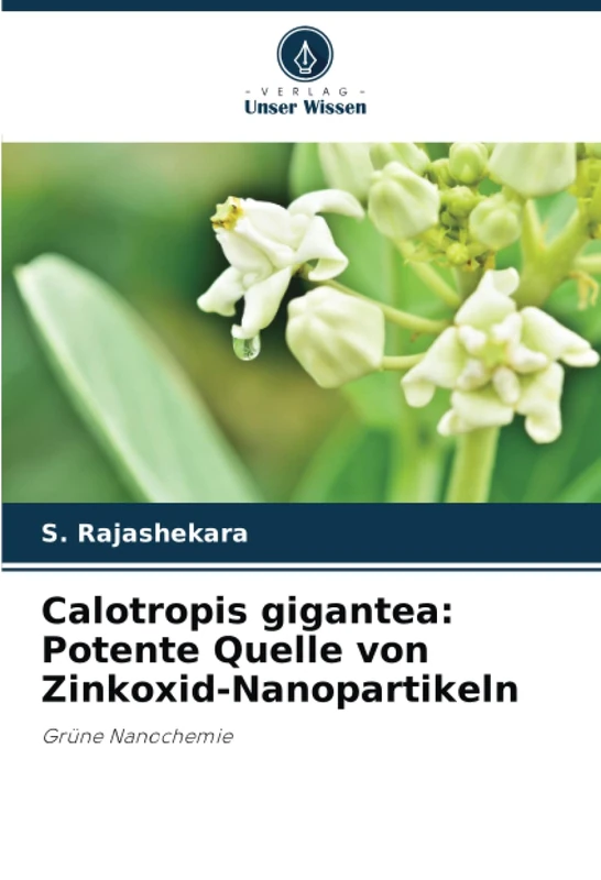 Calotropis gigantea: Potente Quelle von Zinkoxid-Nanopartikeln: Grüne Nanochemie