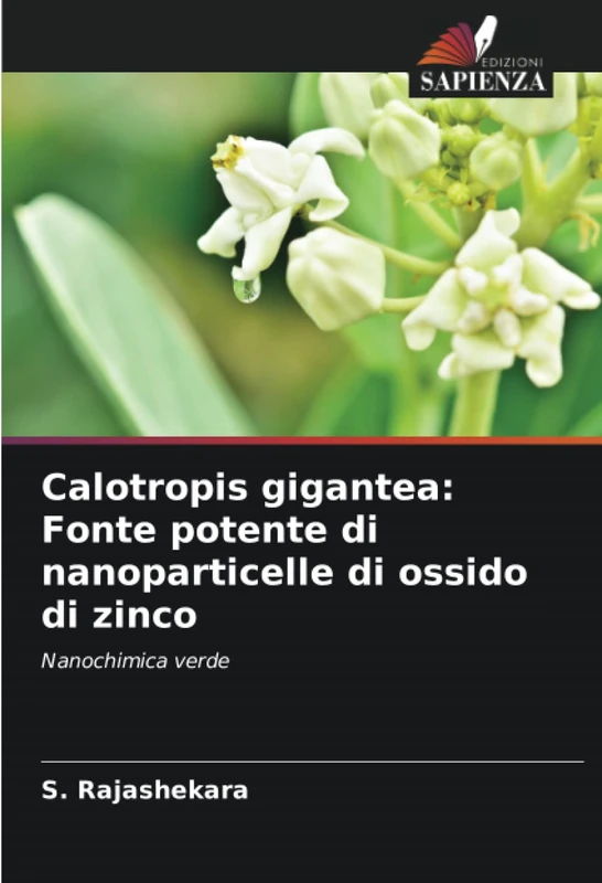 Calotropis gigantea: Fonte potente di nanoparticelle di ossido di zinco: Nanochimica verde