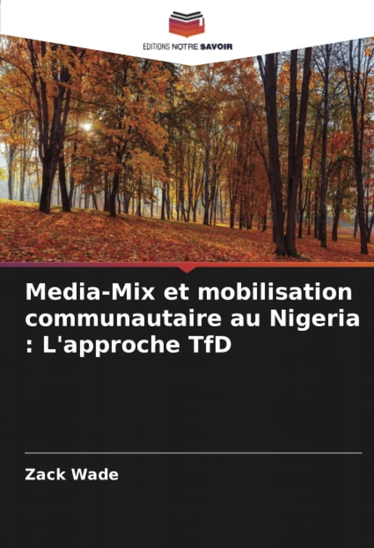 Media-Mix et mobilisation communautaire au Nigeria : L'approche TfD - Image 1