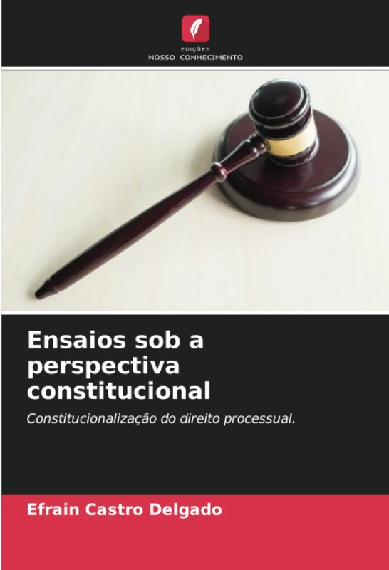 Ensaios sob a perspectiva constitucional: Constitucionalização do direito processual.