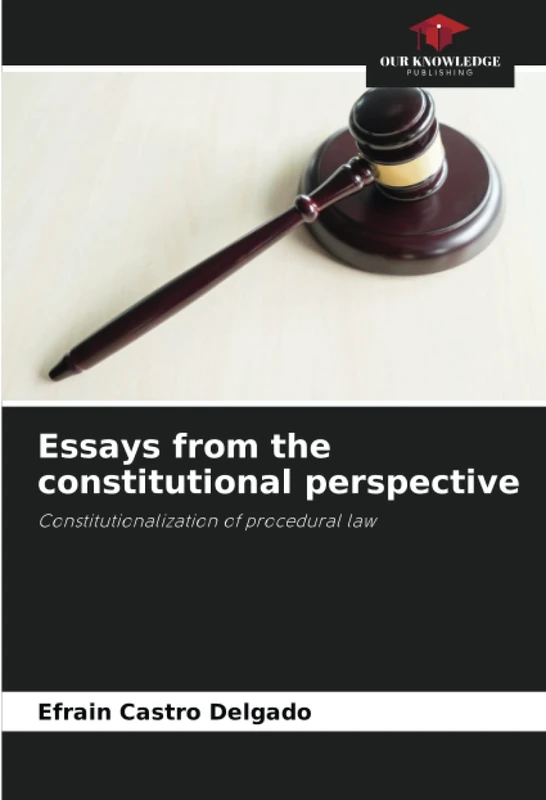 Essays from the constitutional perspective: Constitutionalization of procedural law