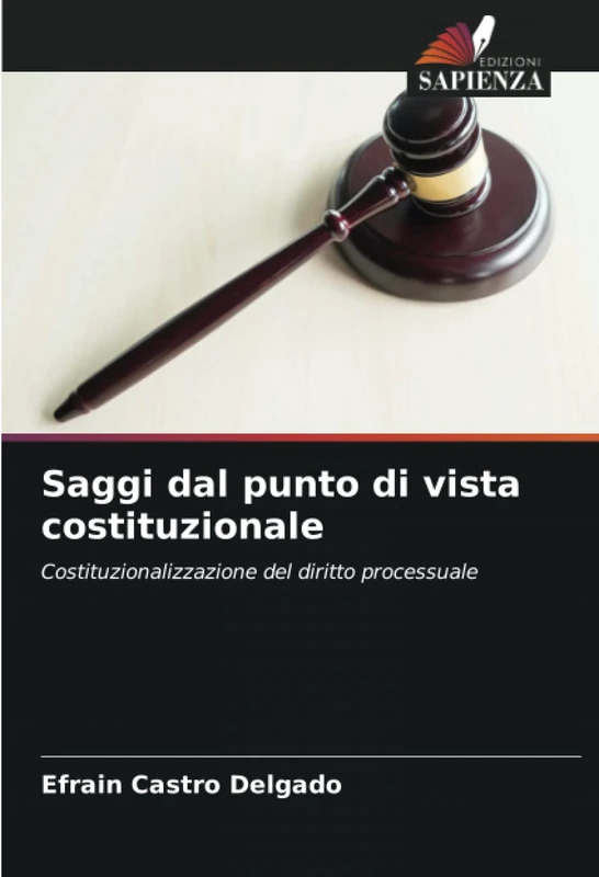 Saggi dal punto di vista costituzionale: Costituzionalizzazione del diritto processuale