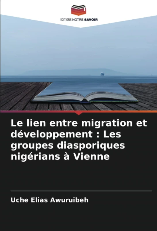 Le lien entre migration et développement : Les groupes diasporiques nigérians à Vienne - Image 1