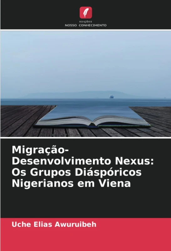 Migração-Desenvolvimento Nexus: Os Grupos Diáspóricos Nigerianos em Viena - Image 1