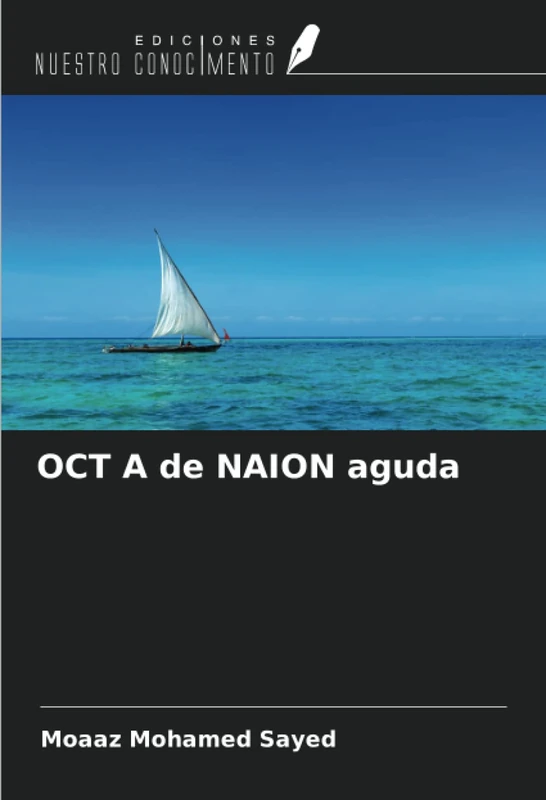 OCT A de NAION aguda - Image 1