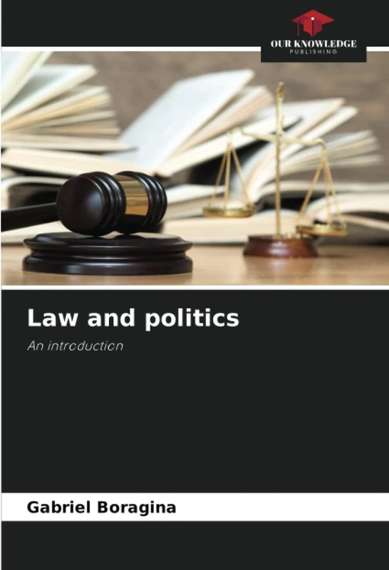 Law and politics: An introduction