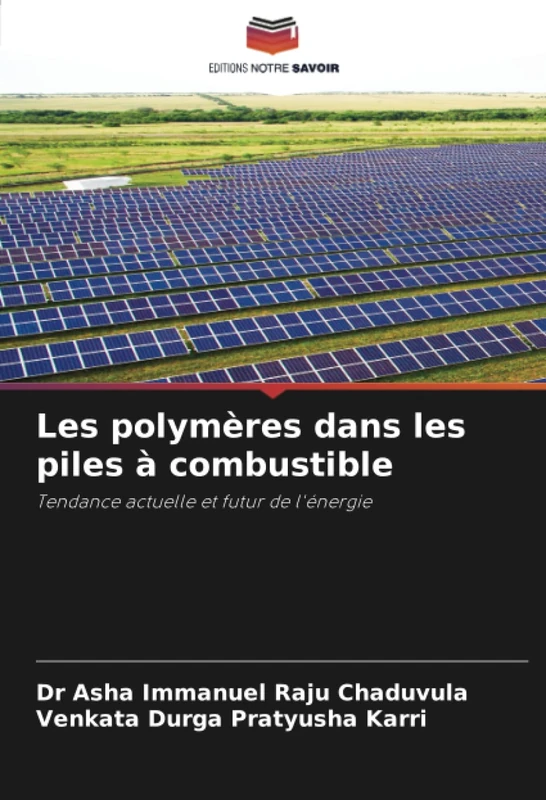 Les polymères dans les piles à combustible: Tendance actuelle et futur de l'énergie