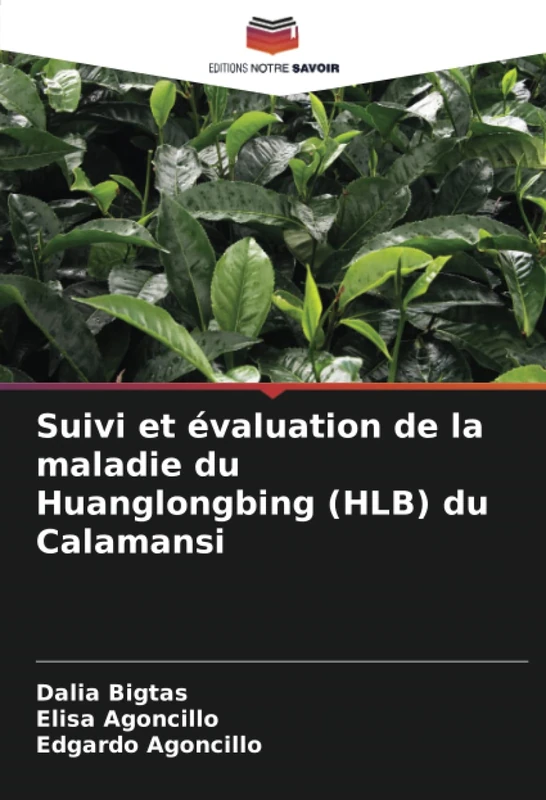 Suivi et évaluation de la maladie du Huanglongbing (HLB) du Calamansi - Image 1