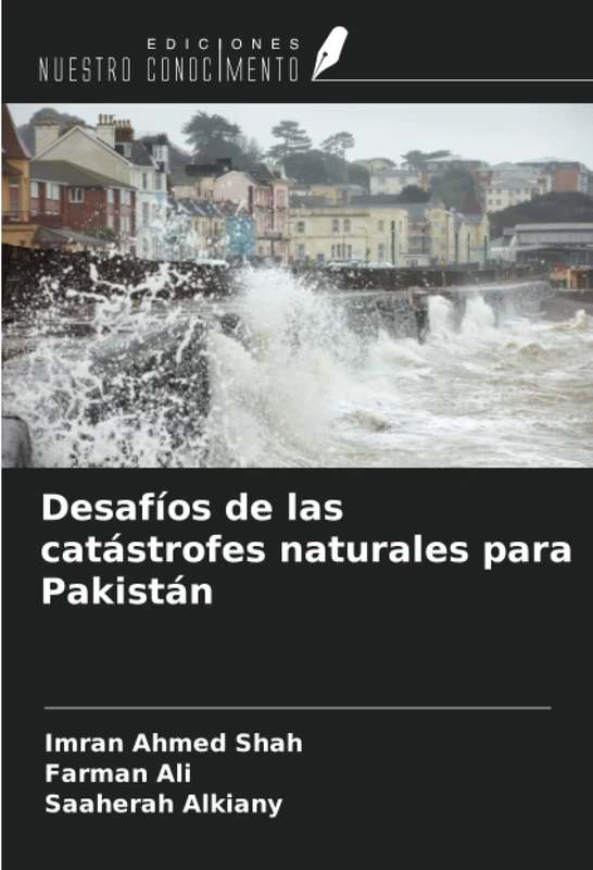 Desafíos de las catástrofes naturales para Pakistán - Image 1