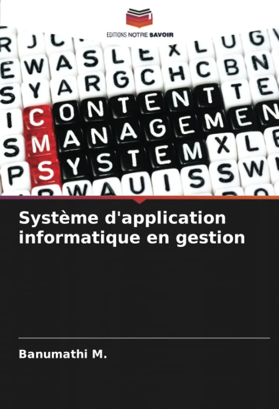 Système d'application informatique en gestion - Image 1