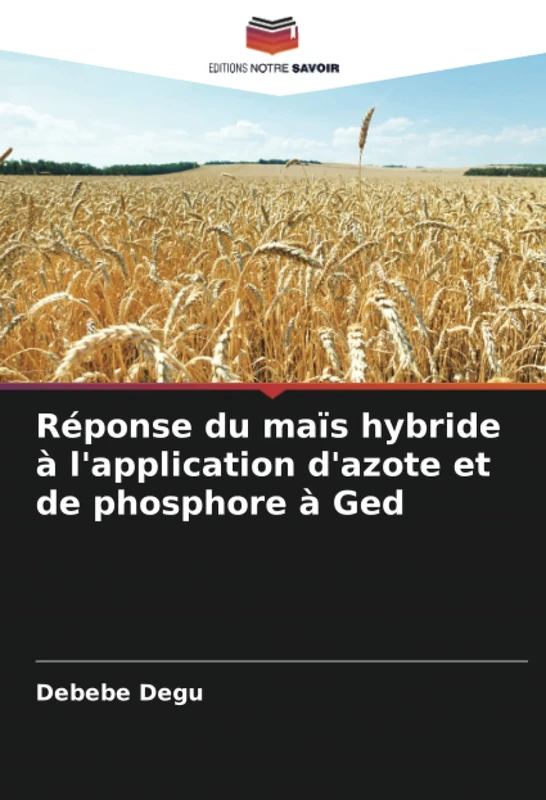 Réponse du maïs hybride à l'application d'azote et de phosphore à Ged