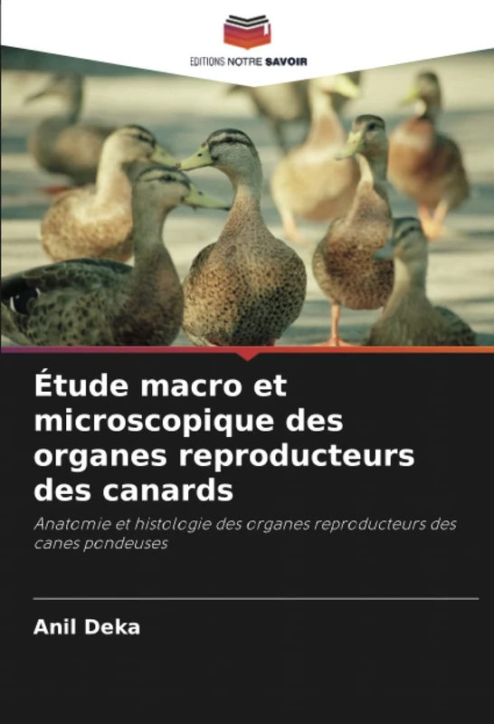 Étude macro et microscopique des organes reproducteurs des canards: Anatomie et histologie des organes reproducteurs des canes pondeuses - Image 1