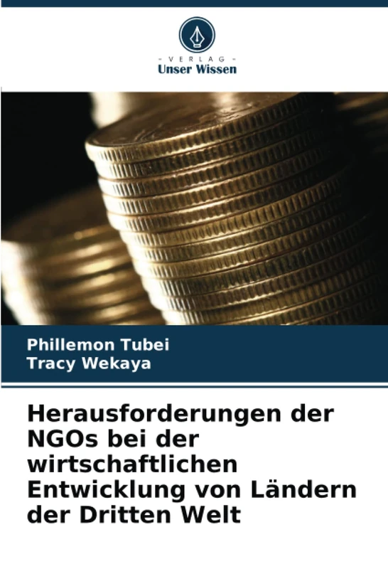 Herausforderungen der NGOs bei der wirtschaftlichen Entwicklung von Ländern der Dritten Welt