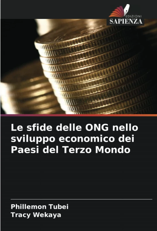 Le sfide delle ONG nello sviluppo economico dei Paesi del Terzo Mondo