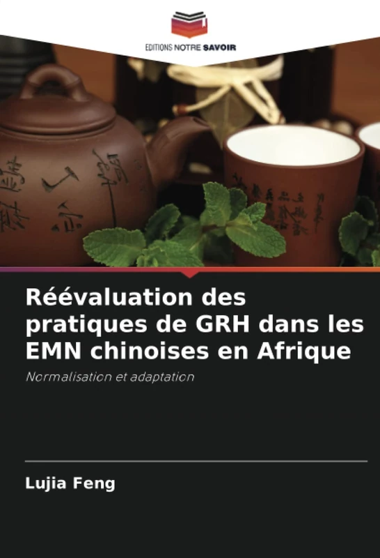 Réévaluation des pratiques de GRH dans les EMN chinoises en Afrique: Normalisation et adaptation - Image 1