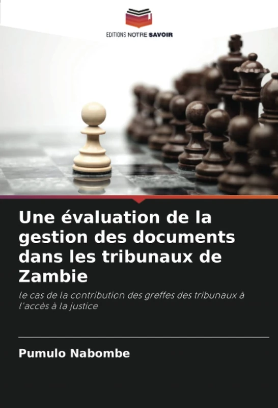 Une évaluation de la gestion des documents dans les tribunaux de Zambie: le cas de la contribution des greffes des tribunaux à l'accès à la justice - Image 1