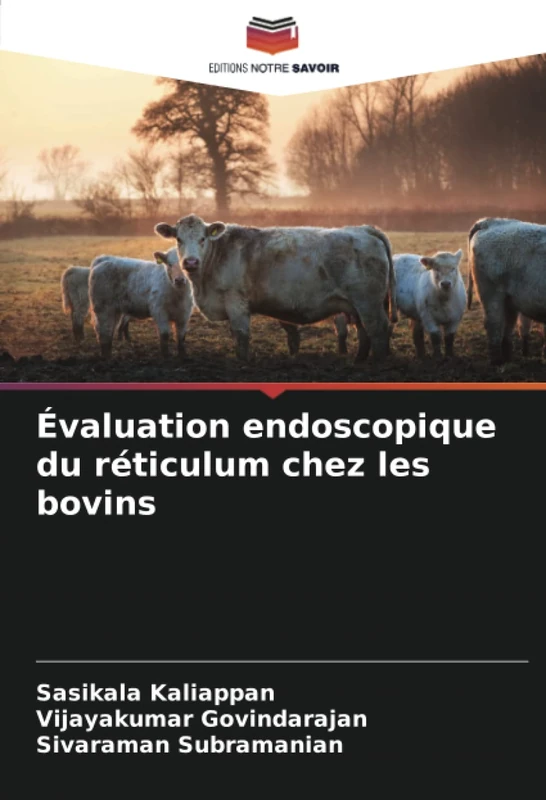 Évaluation endoscopique du réticulum chez les bovins