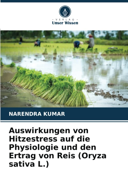 Auswirkungen von Hitzestress auf die Physiologie und den Ertrag von Reis (Oryza sativa L.)