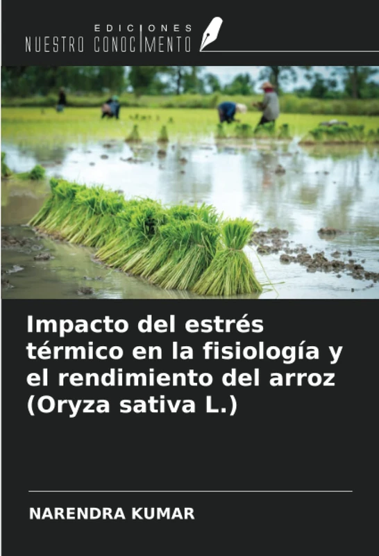 Impacto del estrés térmico en la fisiología y el rendimiento del arroz (Oryza sativa L.)