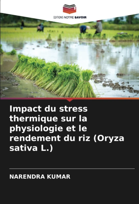Impact du stress thermique sur la physiologie et le rendement du riz (Oryza sativa L.)