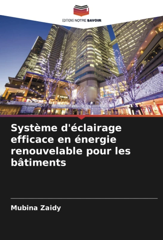 Système d'éclairage efficace en énergie renouvelable pour les bâtiments - Image 1