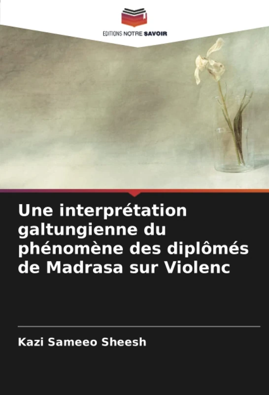 Une interprétation galtungienne du phénomène des diplômés de Madrasa sur Violenc