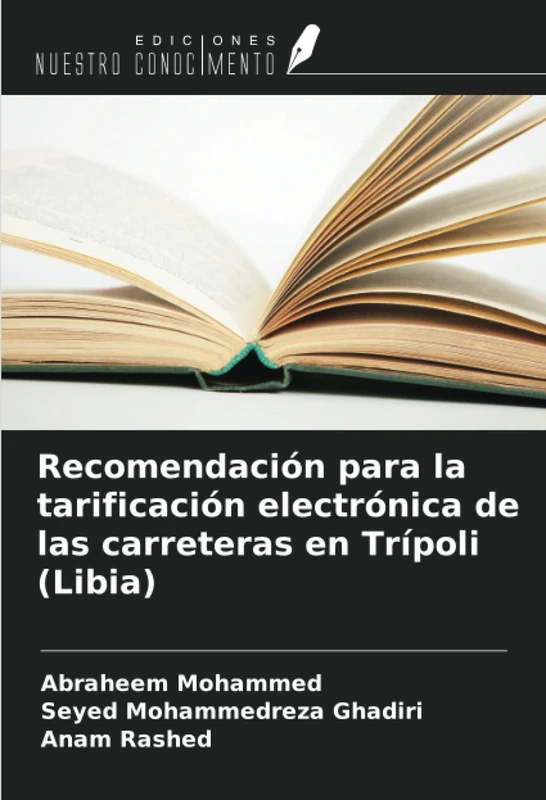 Recomendación para la tarificación electrónica de las carreteras en Trípoli (Libia) - Image 1
