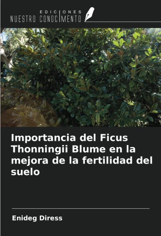 Importancia del Ficus Thonningii Blume en la mejora de la fertilidad del suelo - Image 1
