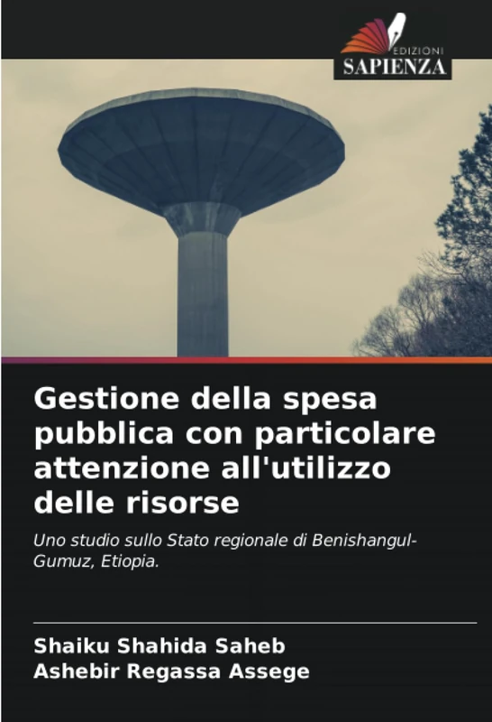Gestione della spesa pubblica con particolare attenzione all'utilizzo delle risorse: Uno studio sullo Stato regionale di Benishangul-Gumuz, Etiopia.