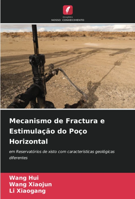 Mecanismo de Fractura e Estimulação do Poço Horizontal: em Reservatórios de xisto com características geológicas diferentes