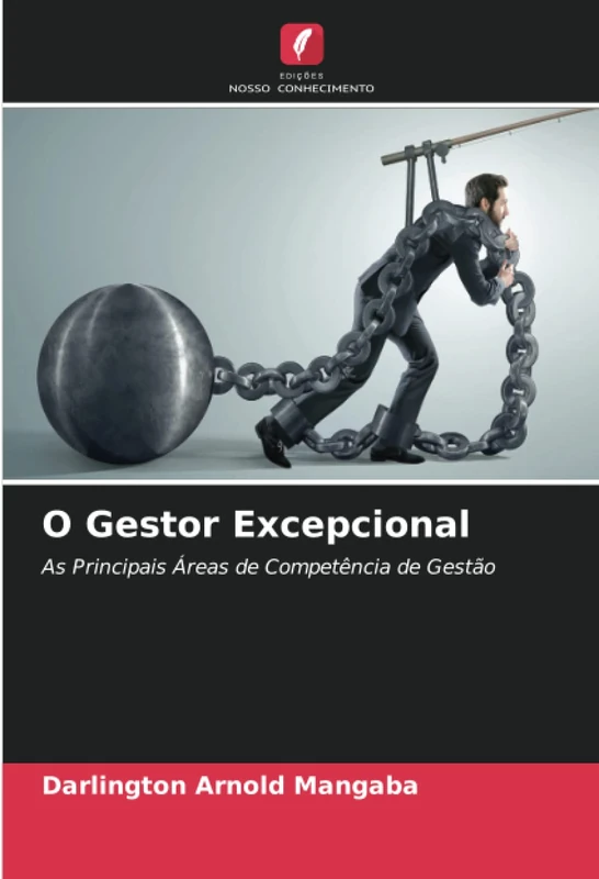 O Gestor Excepcional: As Principais Áreas de Competência de Gestão
