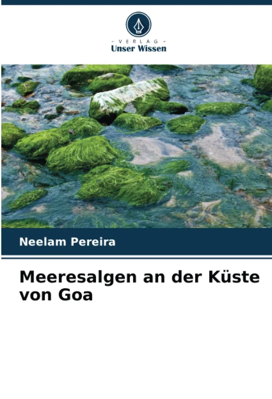 Meeresalgen an der Küste von Goa - Image 1