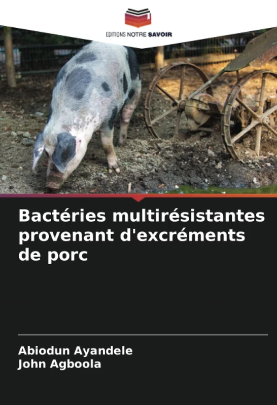 Bactéries multirésistantes provenant d'excréments de porc