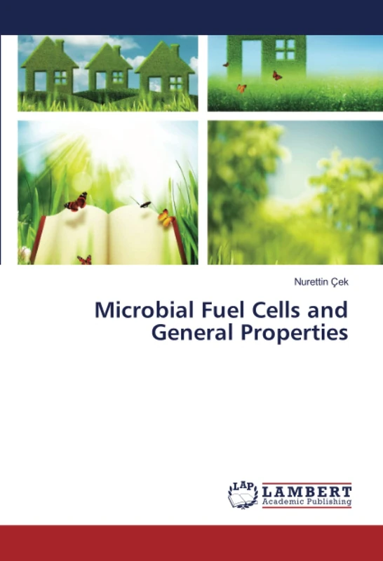 Microbial Fuel Cells and General Properties