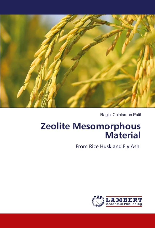 Zeolite Mesomorphous Material: From Rice Husk and Fly Ash