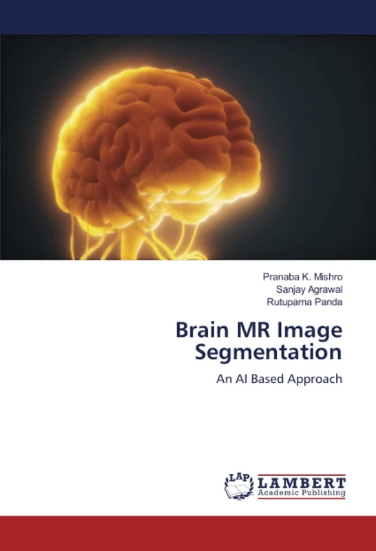 Brain MR Image Segmentation: An AI Based Approach