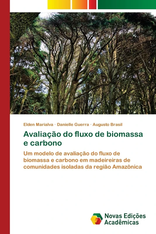 Avaliação do fluxo de biomassa e carbono: Um modelo de avaliação do fluxo de biomassa e carbono em madeireiras de comunidades isoladas da região Amazônica