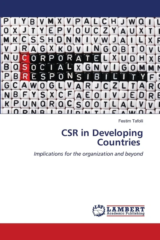 CSR in Developing Countries: Implications for the organization and beyond